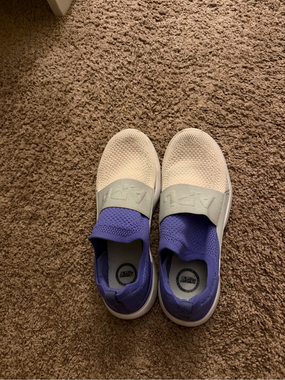 Women’s APL Techloom Bliss Sneakers